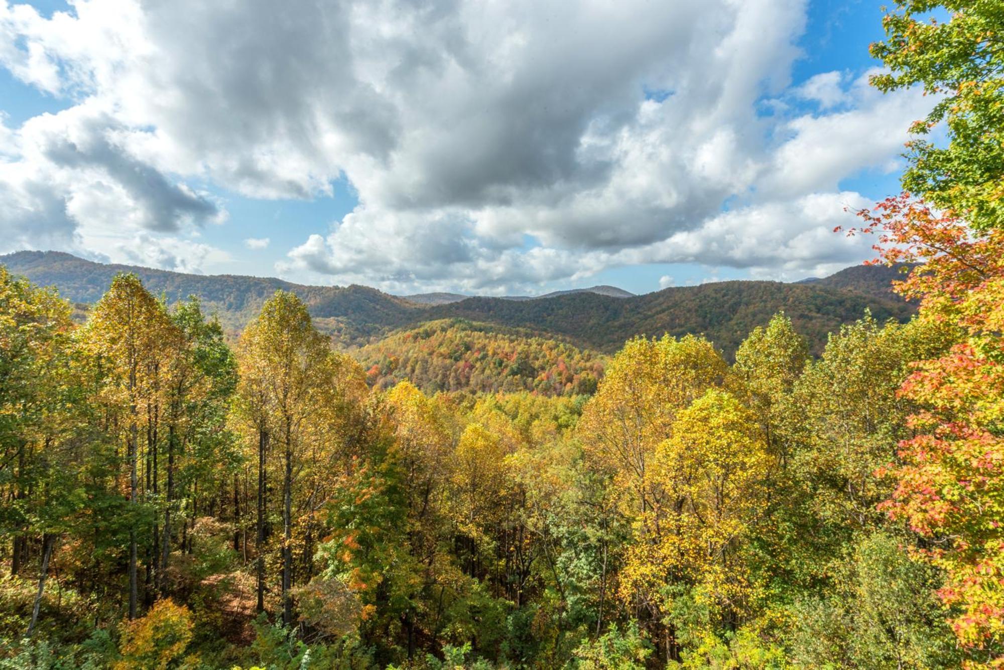 Skytop Chalet Pet Friendly, Hot Tub And Views Villa Black Mountain Dış mekan fotoğraf